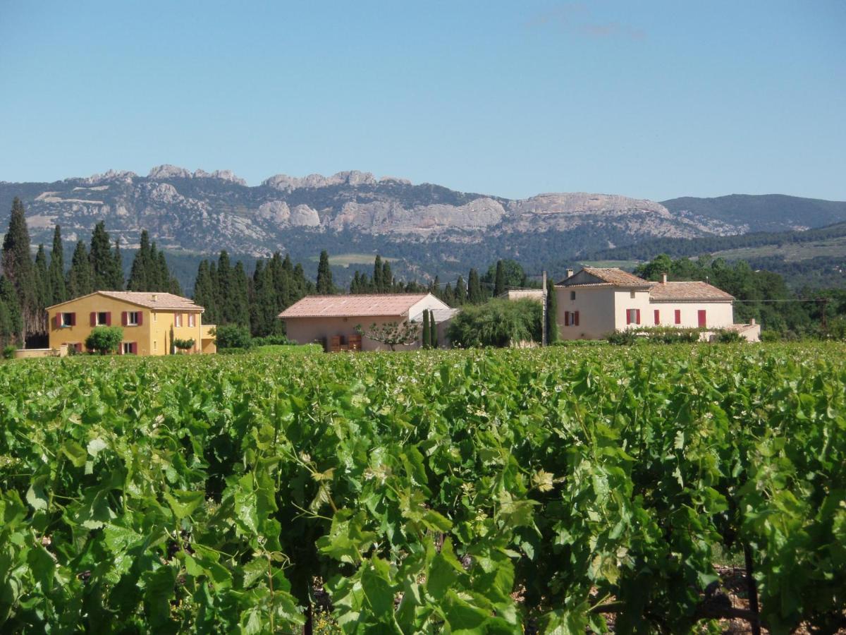 Gite Les Vignes Carpentras Εξωτερικό φωτογραφία