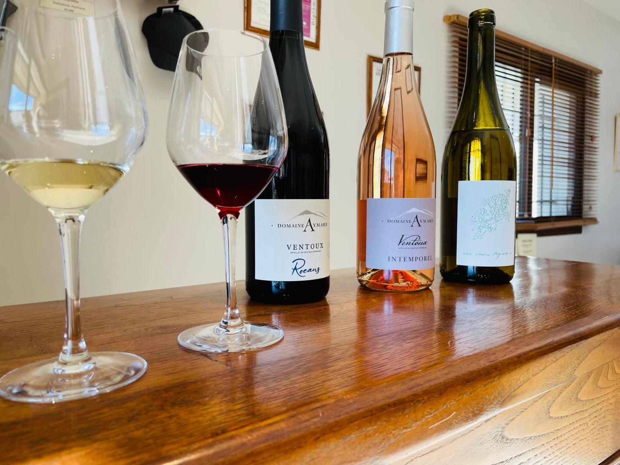Gite Les Vignes Carpentras Εξωτερικό φωτογραφία